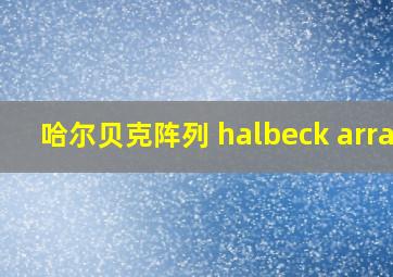 哈尔贝克阵列 halbeck array